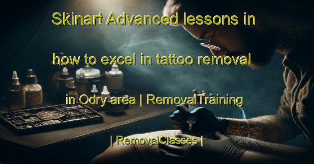Skinart Advanced lessons in how to excel in tattoo removal in Odry area | RemovalTraining | RemovalClasses | SkinartTraining-Poland
